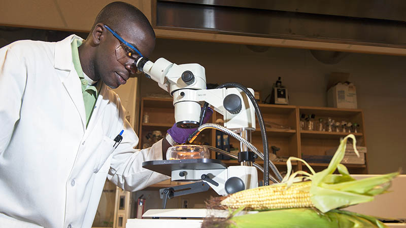 Food Science and Technology Graduate Studies